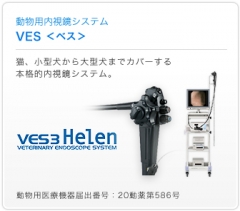 AVS 動物用内視鏡システム VES